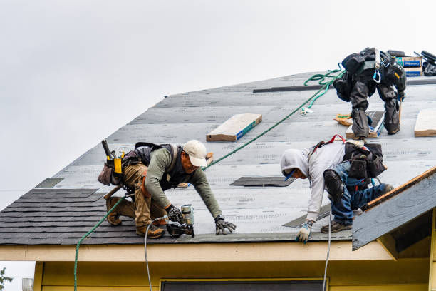 Professional Emergency Roof Repair technician working in Sandy Ridge, PA